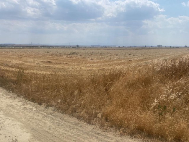 AGRICULTURAL LAND FOR SALE IN NICOSIA