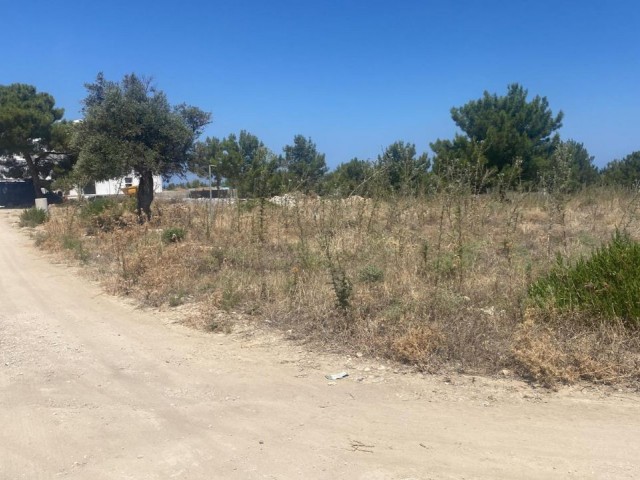 LAND FOR SALE IN ÇATALKOY