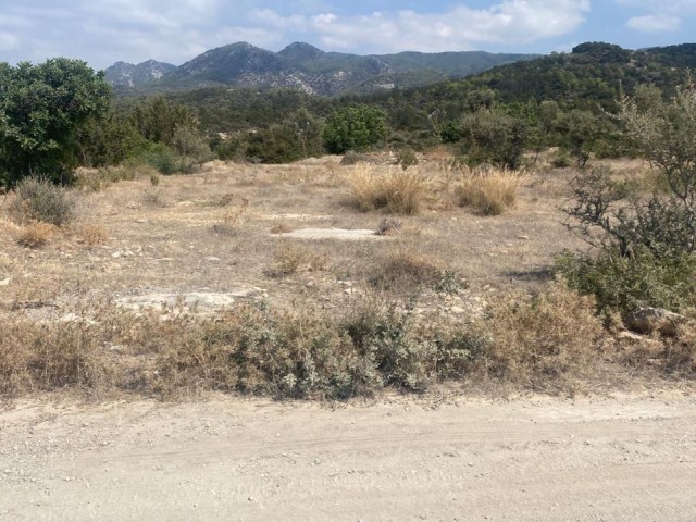 LAND FOR SALE IN BAHÇELİ