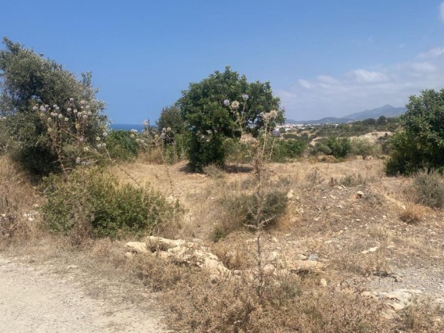 LAND FOR SALE IN BAHÇELİ