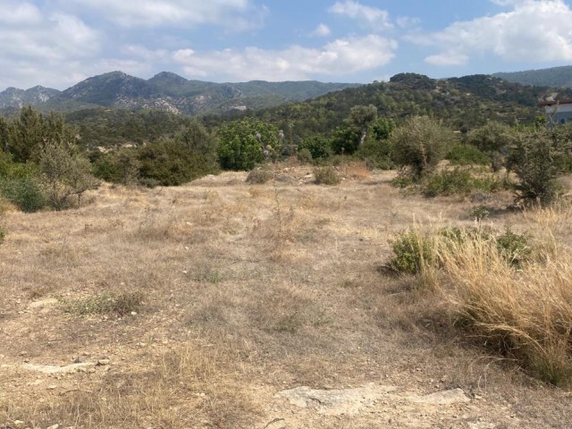 LAND FOR SALE IN BAHÇELİ