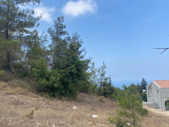 LAND FOR SALE IN KARAAĞAC