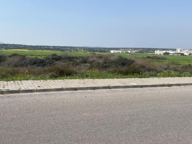 LAND FOR SALE IN BAFRA