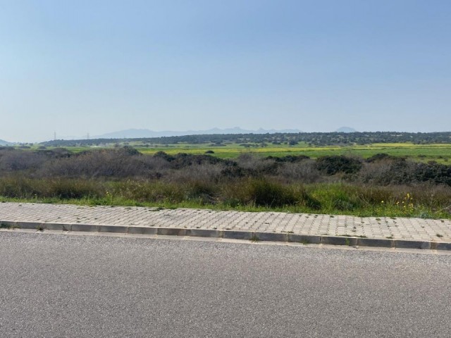 LAND FOR SALE IN BAFRA