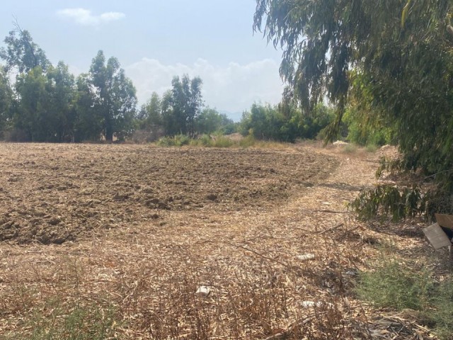 LAND FOR SALE IN LEFKE