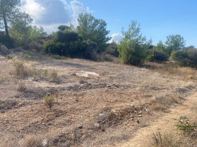 GRUNDSTÜCK ZUM VERKAUF IN ALSANCAK