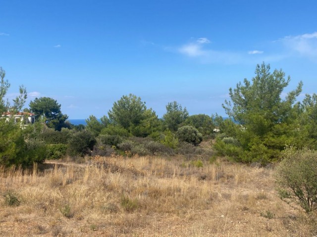 LAND FOR SALE IN ALSANCAK