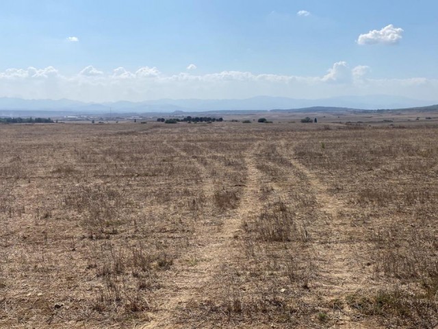 AGRICULTURAL LAND FOR SALE IN YILMAZKÖY