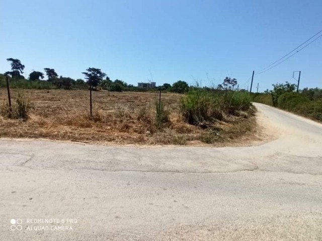 LAND FOR SALE IN DIPKARPAZ