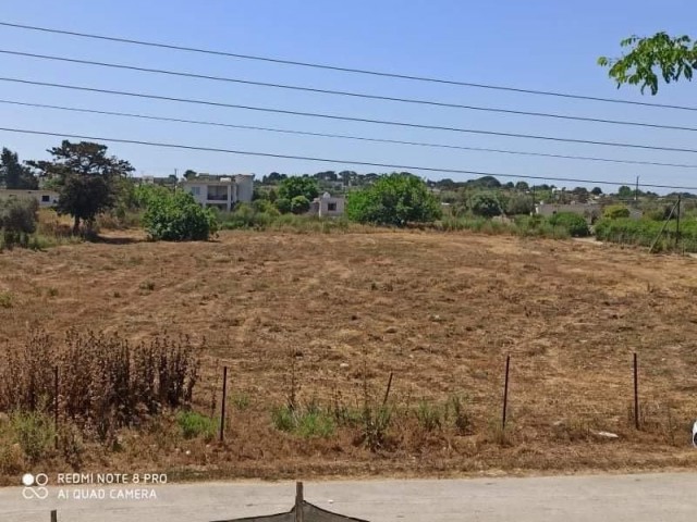 LAND FOR SALE IN DIPKARPAZ