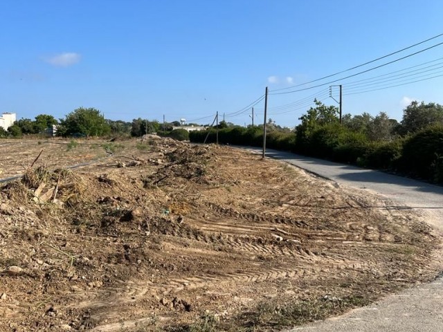 LAND FOR SALE IN DIPKARPAZ