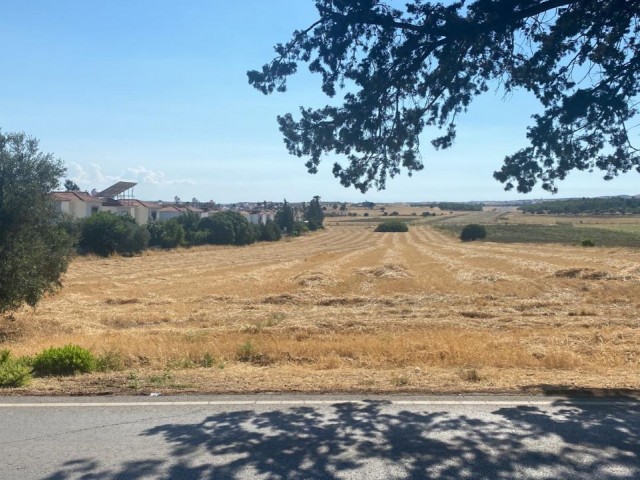 GRUNDSTÜCK ZUM VERKAUF IN KYRENIA BOSPHORUS