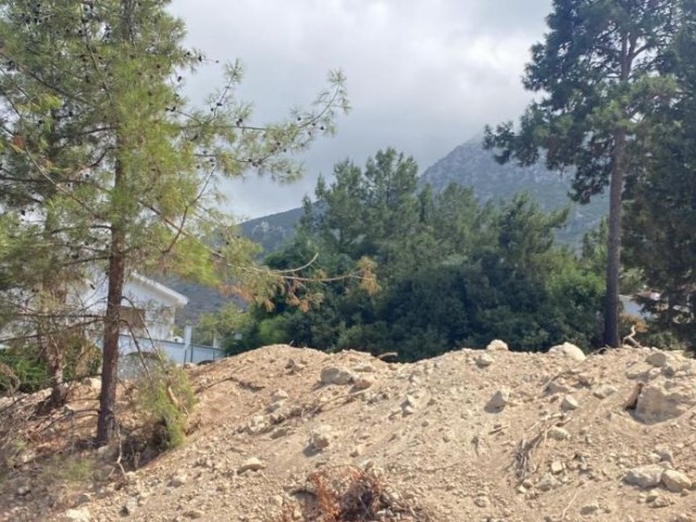 LAND FOR SALE IN KIRNE KARMİ