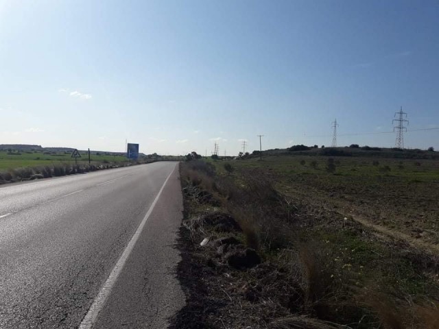 LAND FOR SALE IN İSKELE BAFRA AREA