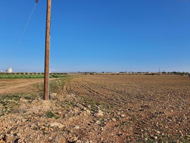 GRUNDSTÜCK ZUM VERKAUF IN FAMAGUSTA