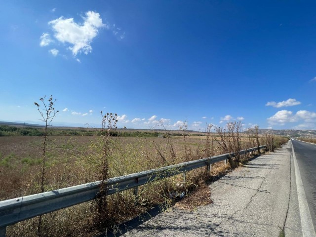 LAND FOR SALE IN TÜRKELİ