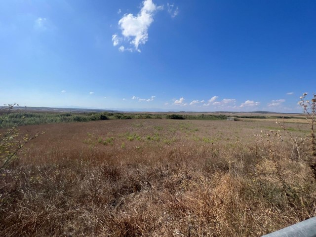 LAND FOR SALE IN TÜRKELİ