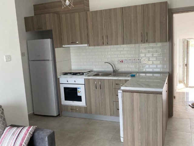 Rent 1+1 in zeytinlik 