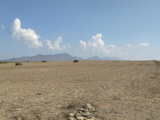 LANDWIRTSCHAFTLICHES GRUNDSTÜCK ZUM VERKAUF IN KYRENIA MOUNTAIN ROAD