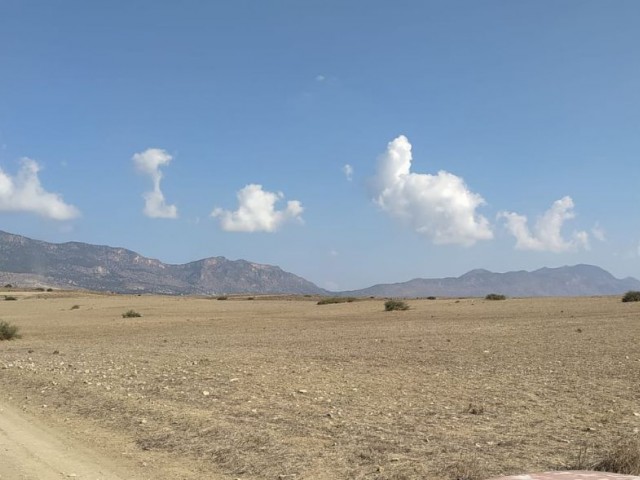 LANDWIRTSCHAFTLICHES GRUNDSTÜCK ZUM VERKAUF IN KYRENIA MOUNTAIN ROAD