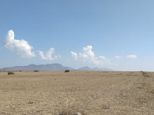 فروش زمین کشاورزی در جاده کوهستانی گیرنه