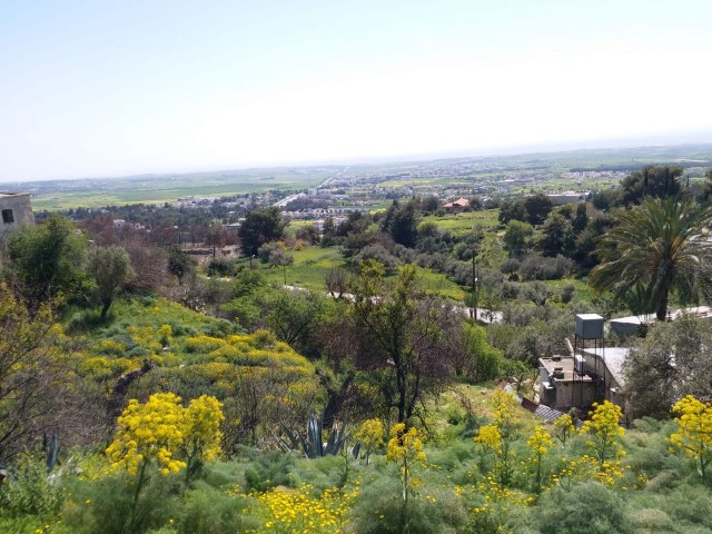 LAND FOR SALE IN AĞIRDAĞ