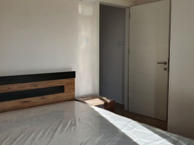 Rent 2+1 apartment with Pool