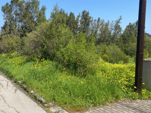 LAND FOR SALE IN OZANKÖY