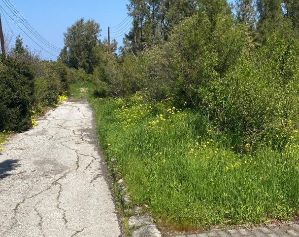 LAND FOR SALE IN OZANKÖY