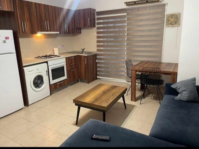 For Rent 1+1 penthouse For Students