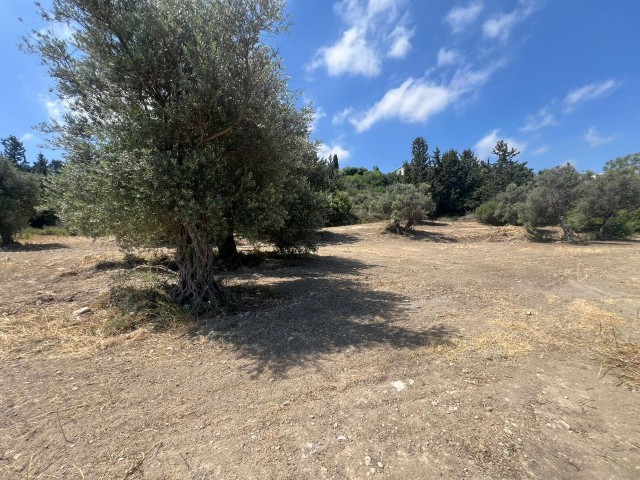 LAND FOR SALE IN KYRENIA