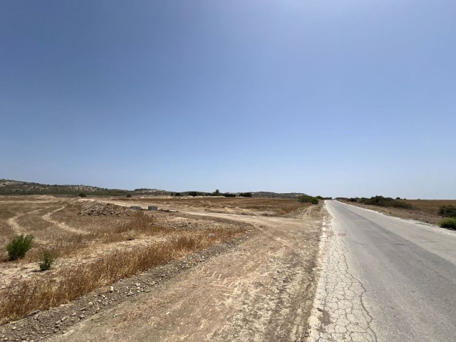 PLOTTED LANDS FOR SALE IN TÜRKELİ