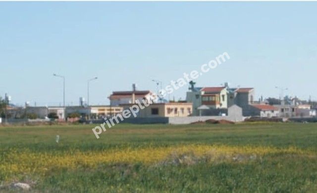 2.5 ACRES OF FIELD FOR SALE, KORKUTELI ,TOTAL 25000 STG ** 