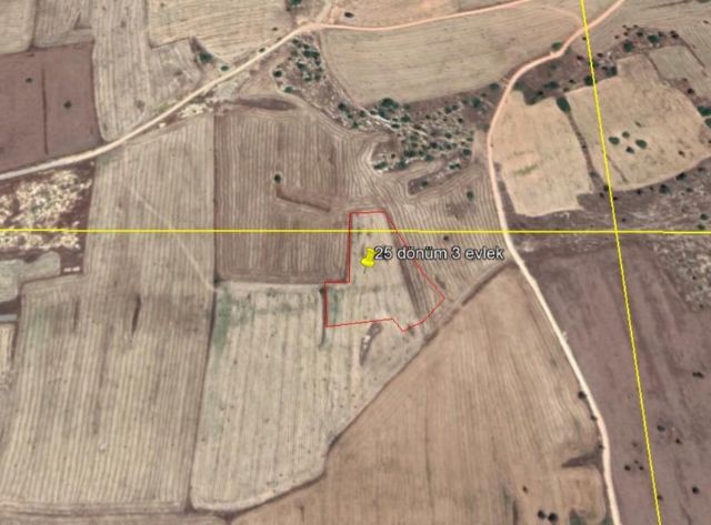 Field For Sale in İskele Merkez, Iskele