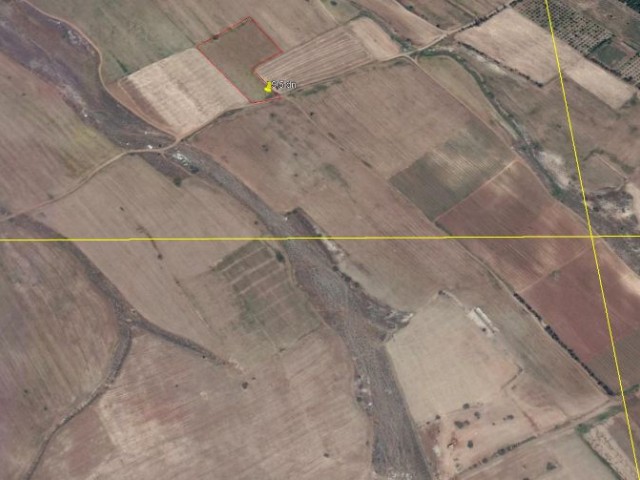 Field For Sale in Aşağı Bostancı, Guzelyurt