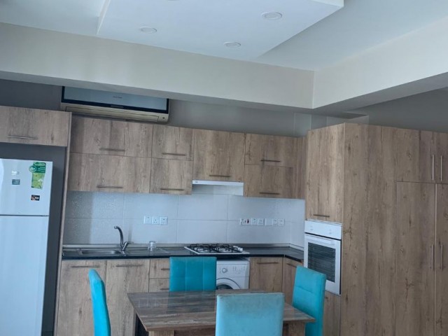 Sakarya falcon 1 apartman 2+1 rent house from 400$ Deposit 400$ And commission 