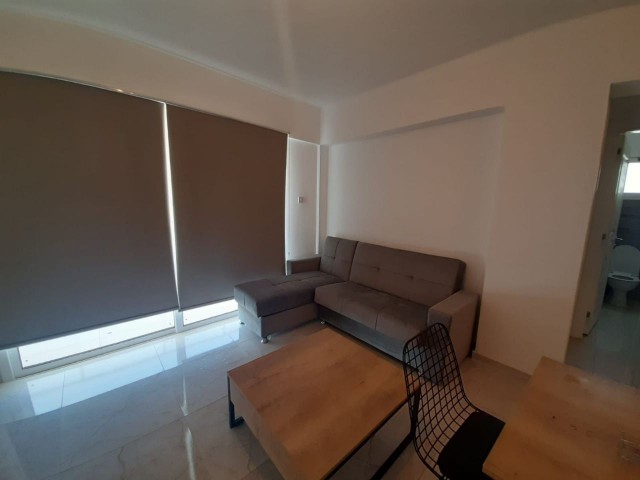 FOR RENT 2+1 APARTMENT FOR 6 MONTHS FROM $500 