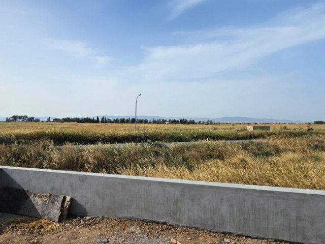 Halb freistehend Zu verkaufen in Mutluyaka, Famagusta