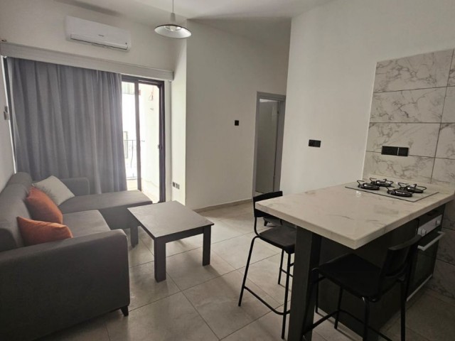 1+1 and 2+1 flats within walking distance of Dauye are available for rent, with annual payments for 1+1s at 450 dollars and 2+1s at 550 dollars. There is no elevator in the buildin