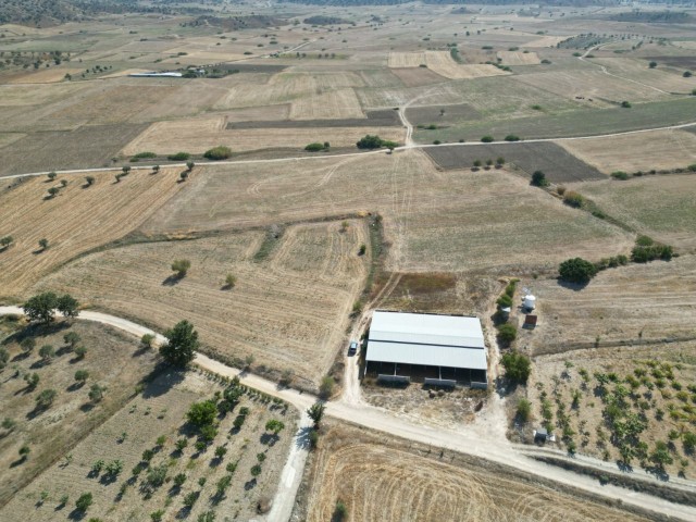 Grundstück zum Verkauf in Iskele Sazlıköy, Fasıl 96