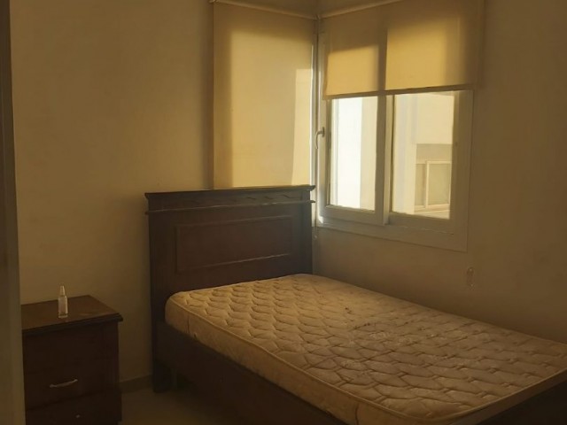 KALILAND AREA 2+1 FLAT FOR RENT