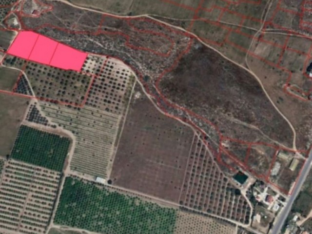 Kalkanl 8.5 ده زمین برای فروش در اوزکارامان