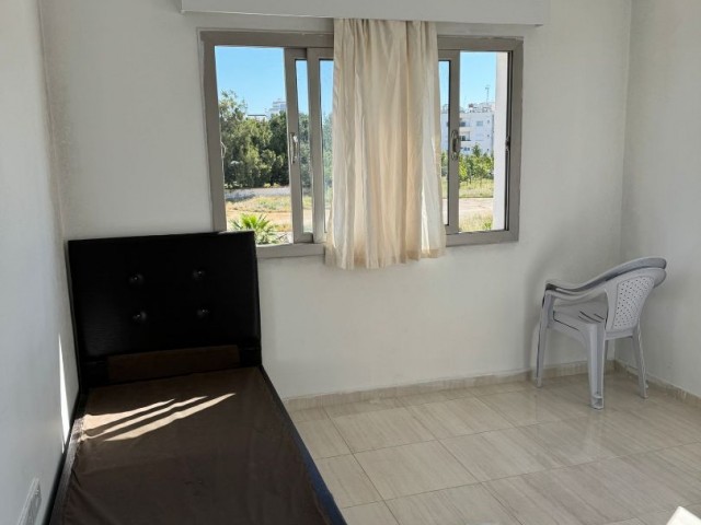 SAKARYA REGION 1+1 FLAT FOR RENT