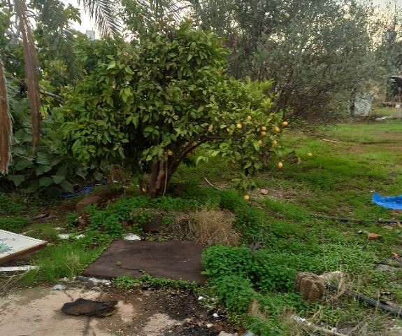 DETACHED VILLAGE HOUSE WITH GARDEN FOR SALE IN FAMAGUSTA MORMENEKSE VILLAGE ** 