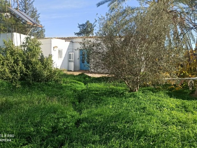 EINFAMILIENHAUS MIT GARTEN ZUM VERKAUF IN FAMAGUSTA MORMENEKSE DORF ** 