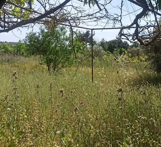 EINFAMILIENHAUS MIT GARTEN IN EINEM GRUNDSTÜCK VON 900M2 IM DORF ISKEL CHAYROVA FASIL96 ** 