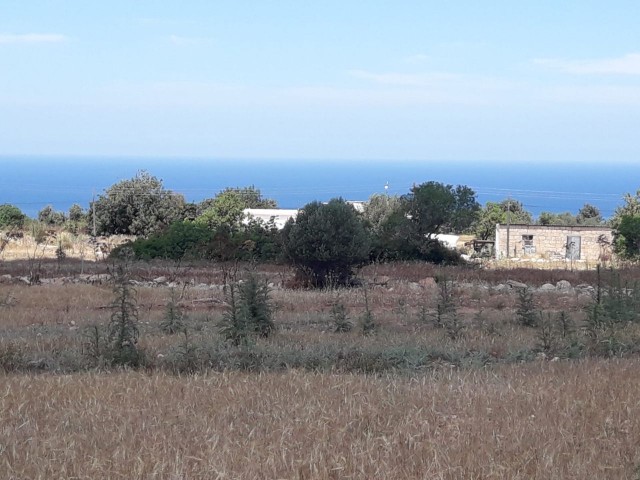 1192m2 LAND WITH SEA VIEW IN İSKELE SİPAHİ VILLAGE ** 