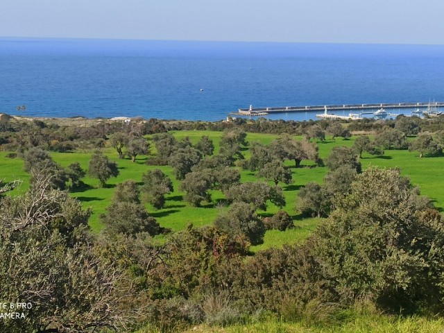 THE PRICE IS DROPPED!! LAND WITH A PERFECT SEA VIEW IN ISKELE SİPAHİ VILLAGE, 1521m2 PLAN LAND ** 