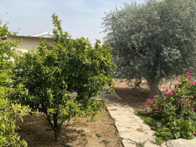 A DETACHED HOUSE WITH A TURKISH HUSBAND'S WATER WELL IN THE VILLAGE OF SERDARLI ** 