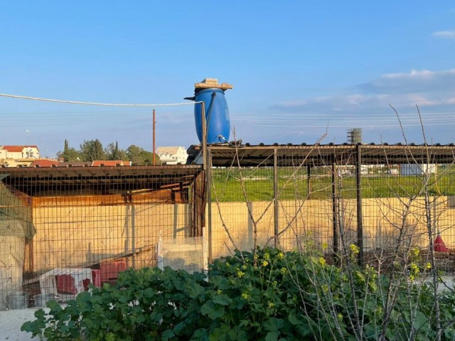 A DETACHED HOUSE WITH A GARDEN ON 1 ACRE OF LAND IN THE VILLAGE OF FAMAGUSTA MUTLUYAKA ** 